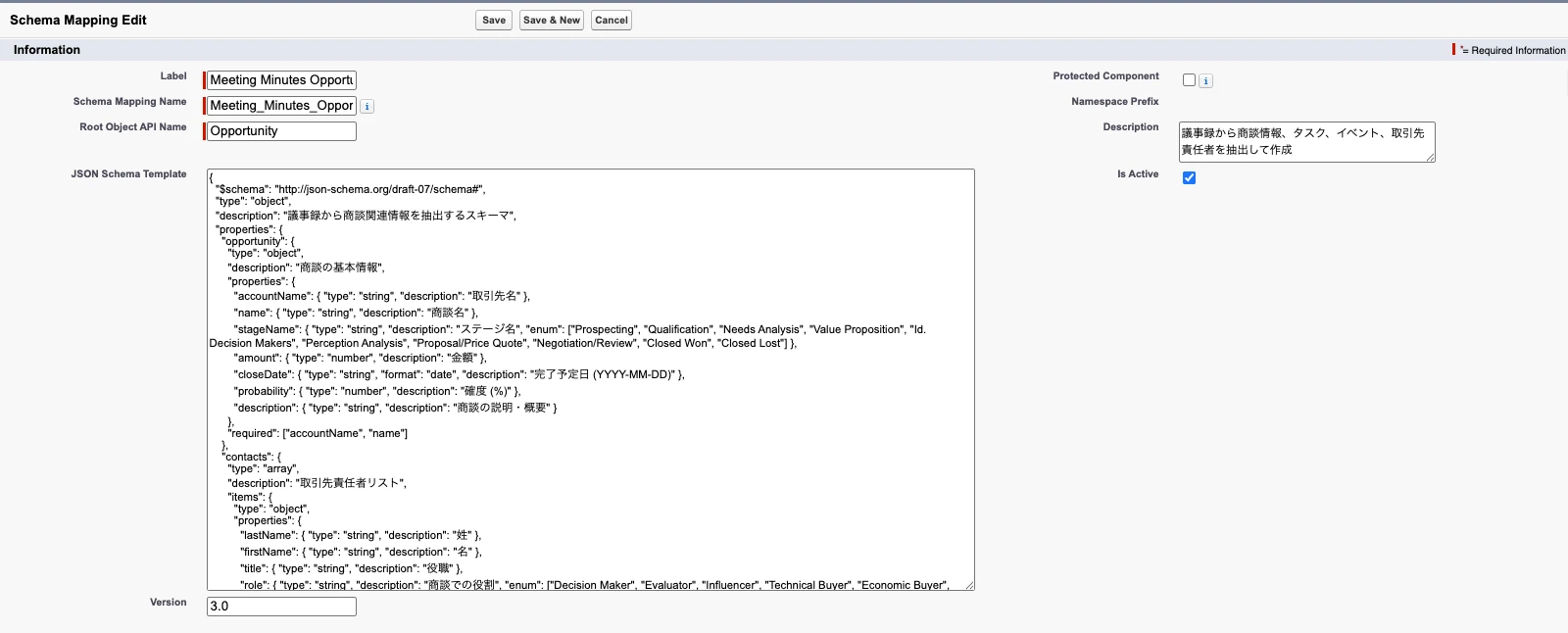 SchemaMapping Custom Metadata setting screen