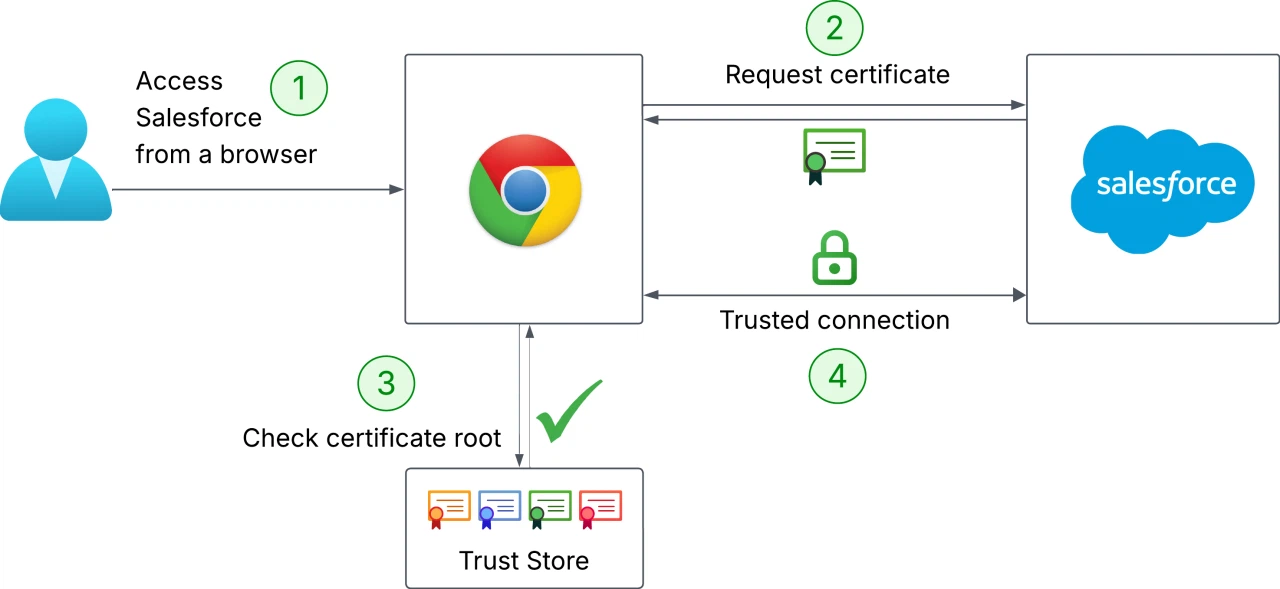 Certificate Trust Store Verification Flow